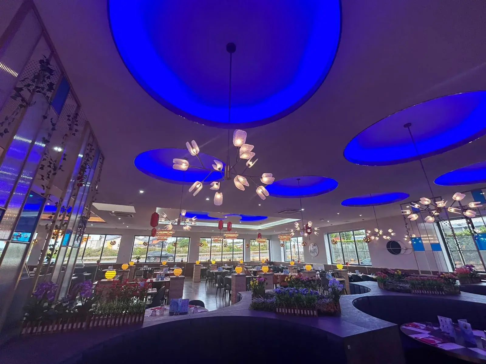 Vue panoramique de la salle et du plafond lumineux de Top Wok